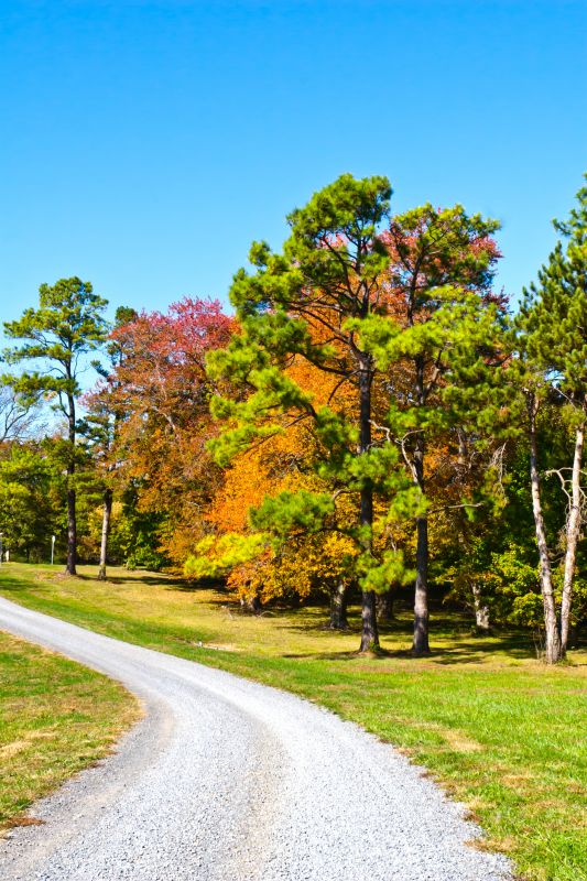 landscape grading